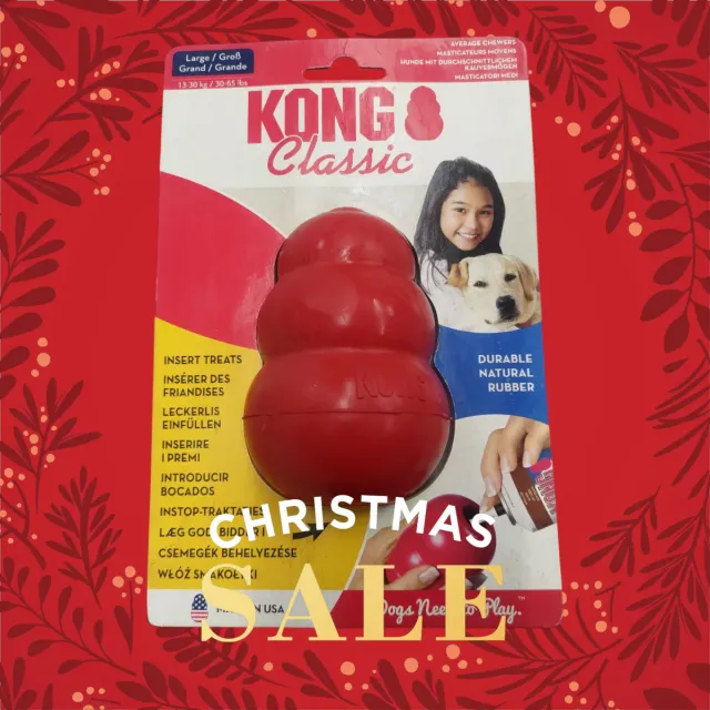 🆕Kong Classic Grande