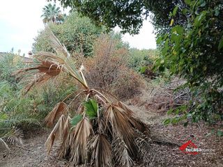 Casa rural en venta en Zona Centro en Córdoba