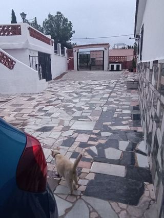 Chalet en venta en Vilamarxant