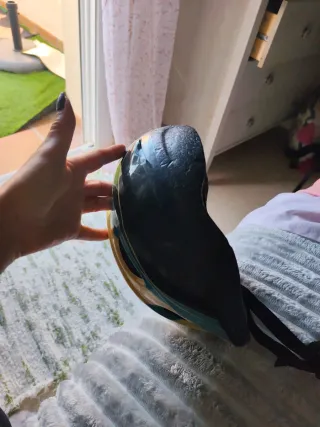 Casco de bicicleta colores