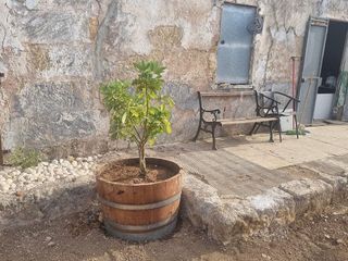 Casa rural en venta en Centro en Inca