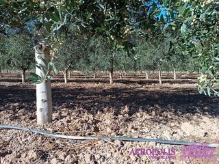 Casa rural en venta en Yecla