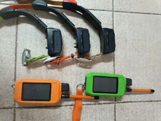 Collar Garmin T5 GPS para Perros