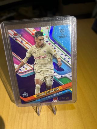 Carta Adam Daghím RC 107/299