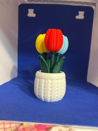 Fiori Papavero 3D