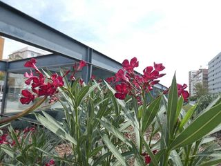 Piso en venta en Quart de Poblet