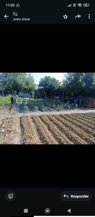 Último disponible‼️Parcelas de huerta en alquiler