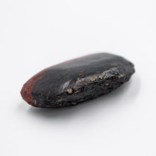 Gran Pieza de Hueso Fosil de Dinosaurio Autentico