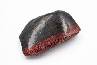 Gran Pieza de Hueso Fosil de Dinosaurio Autentico