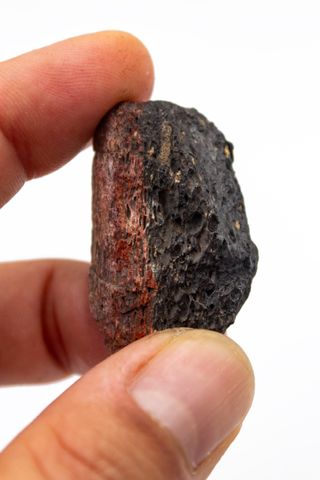 Gran Pieza de Hueso Fosil de Dinosaurio Autentico