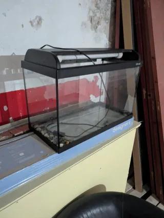 Pecera/acuario con luz 60L 59*30*43