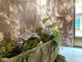 Piso en venta en Centro en Vitoria-Gasteiz