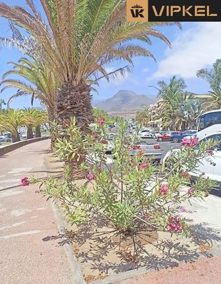 Piso en venta en Arona pueblo en Arona