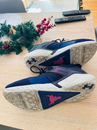 Zapatillas Under Armour Project Rock Azul/Morado