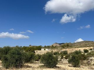 Casa rural en venta en Abanilla