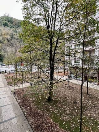 Piso en venta en Amara - Berri en San Sebastián-Donostia