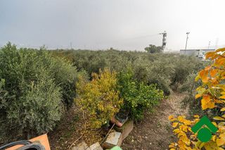 Casa rural en venta en Pedanías de Granada en Granada