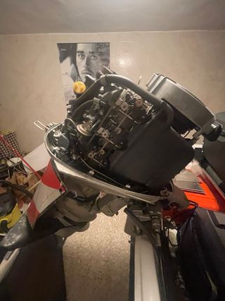 Honda 25cv agua dulce