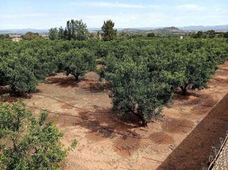 Casa rural en venta en Vilamarxant