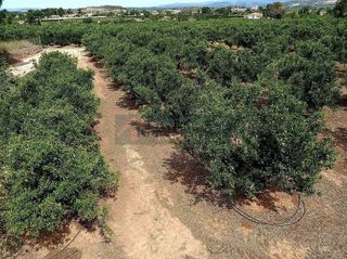 Casa rural en venta en Vilamarxant