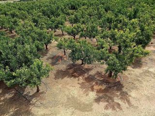 Casa rural en venta en Vilamarxant