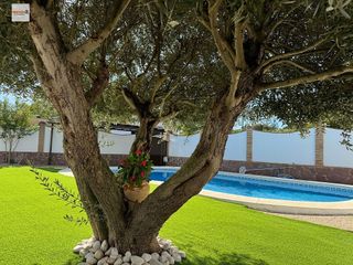 Casa en venta en La Jara en Sanlúcar de Barrameda