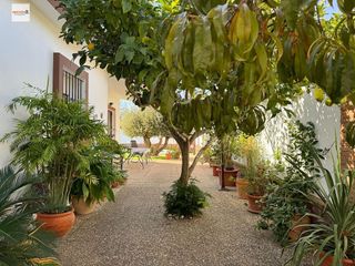 Casa en venta en La Jara en Sanlúcar de Barrameda