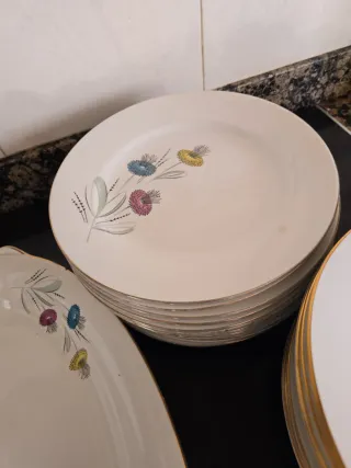 Vajilla Porcelana Royal China Vigo Flores