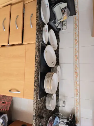 Vajilla Porcelana Royal China Vigo Flores