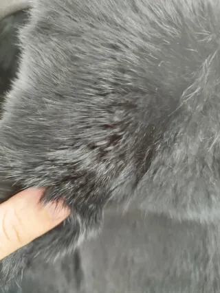 Abrigo pelo conejo natural ajustado negro