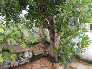 Chalet en venta en Torre del Campo