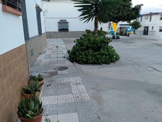 Casa adosada en venta en Barbate ciudad en Barbate