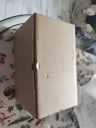 Rueda de repuesto para patinete Xiaomi