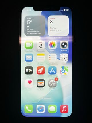 iPhone 12 Pro 256GB Gris/Plata (Fallo en pantalla)