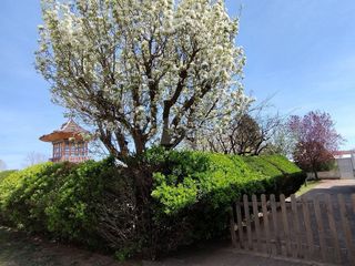 Chalet en venta en Trobajo del Camino en San Andrés del Rabanedo