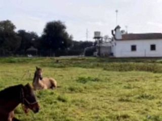 Casa rural en venta en Cerro de Reyes en Badajoz