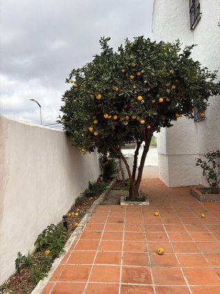 Chalet en venta en El Rinconcillo en Algeciras