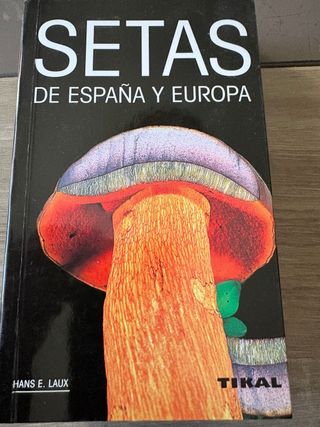 Setas de España y Europa (Spanish Edition)