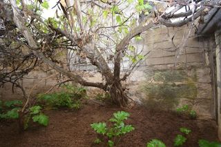 Chalet en venta en Muro