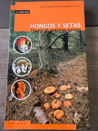 Hongos y setas: Tesoros de nuestros montes (Guí...