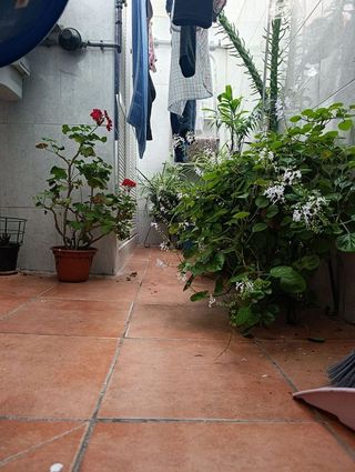 Piso en venta en Camas