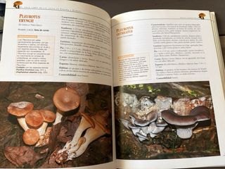 El gran libro de las setas