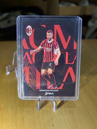 Carta Daka Pavlovic 90/99