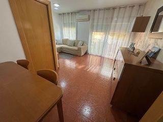Piso en venta en Singuerlín - Can Franquesa - Les Oliveres en Santa Coloma de Gramanet