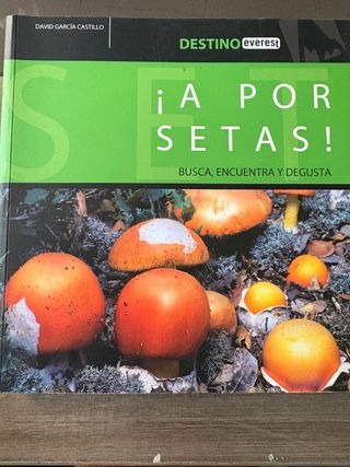 ¡A por setas!: Busca, encuentra y degusta (Dest...