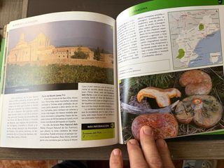 ¡A por setas!: Busca, encuentra y degusta (Dest...