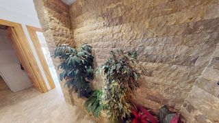 Piso en venta en Crevillent