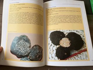 El Libro De La Trufa