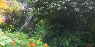 Casa adosada en venta en Bouzas - Coia en Vigo