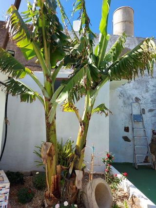 Chalet en venta en Agüimes en Agüimes